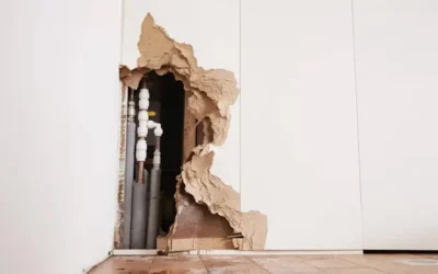 What to Do Immediately After Water Damage — 5 Steps to Prevent Bigger Problems